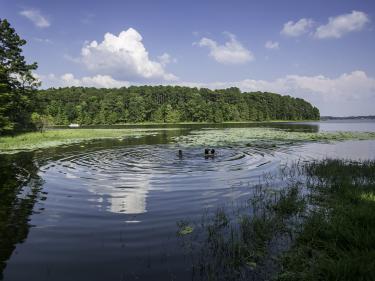 North Toledo Bend swimming