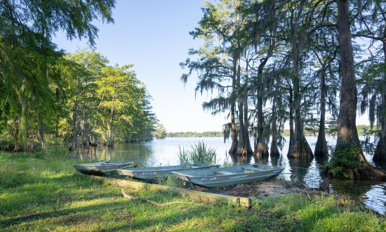 Boats at the Lake Bruin State Park