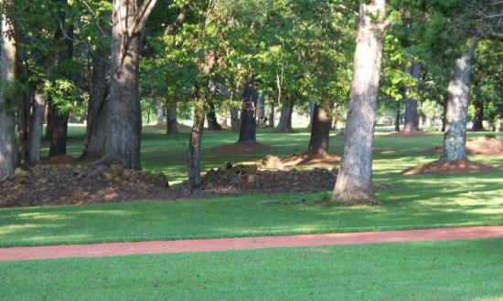 Fort Jesup State Historic Site