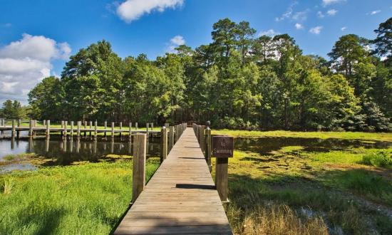 Jimmie Davis State Park