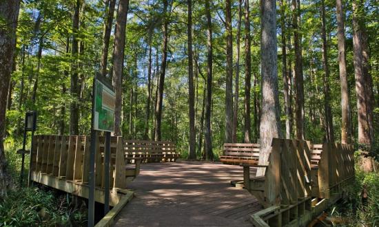 Palmetto Island State Park