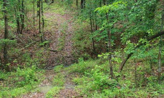 South Toledo Bend State Park