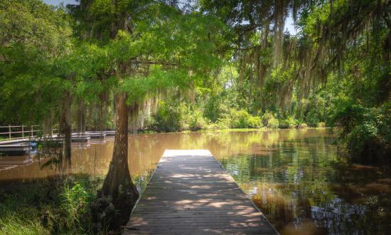 Fairview-Riverside State Park sits on 99 acres fronting the Tchefuncte River