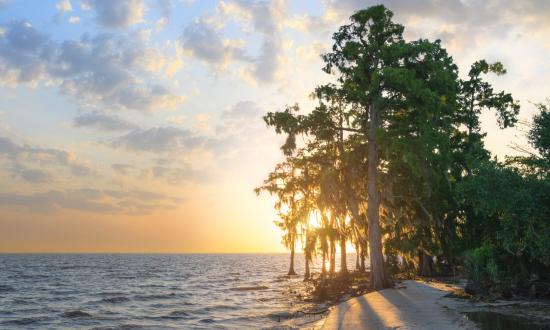 Sunset views at Fontainebleau State Park